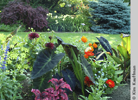 garden photograph of public garden by horticultural photographer kim kauffman for public relations and direct mail postcard