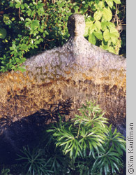 garden photograph of plants and sculpture by garden photographer kim kauffman