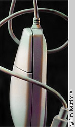 abstract still life photograph of computer mouse by photographer kim kauffman for editorial photography use